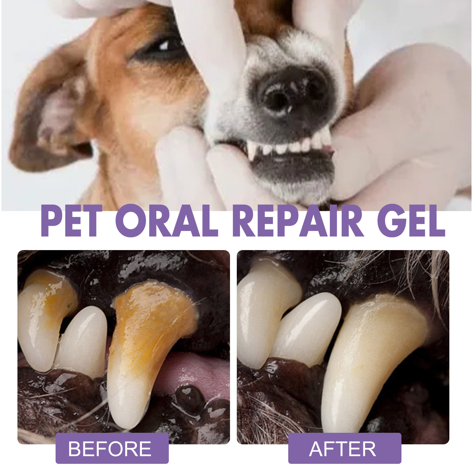 Huisdier Orale Reparatie Gel P - Whitening Mouthwash recensie en prijs
